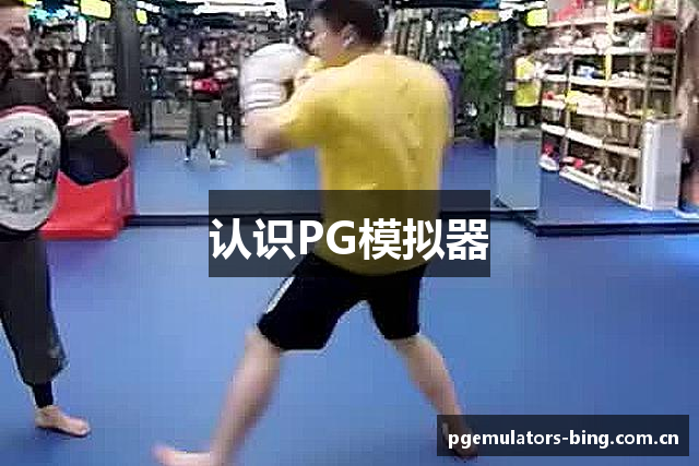 认识PG模拟器